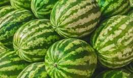 吃瓜是什么意思 吃瓜爆料短剧吃瓜爆料大赛每日聚集地,吃瓜爆料短剧大赛，每日热点聚集地